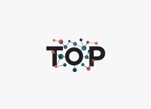 logo: TOP-Advisory